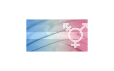 Transgender fact sheet